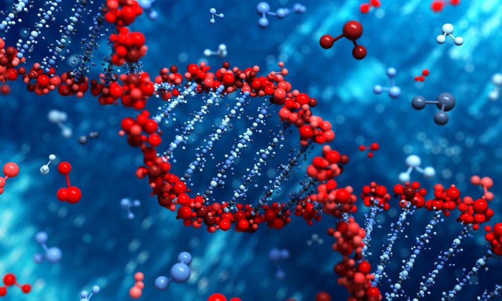 Molecular Biology Products