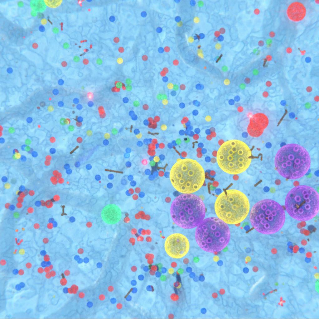 Nanoparticles & Beads