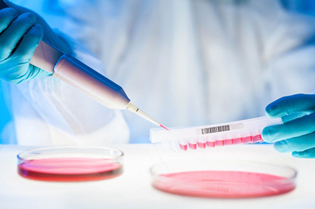 Cell Lines and Culture Products