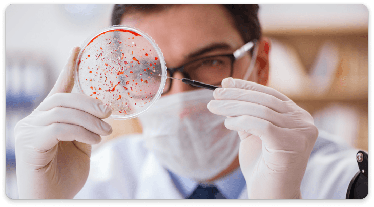 Molecular Biology Services